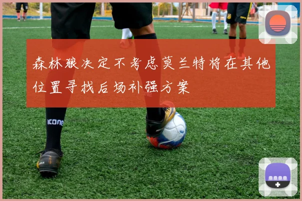 森林狼决定不考虑莫兰特将在其他位置寻找后场补强方案