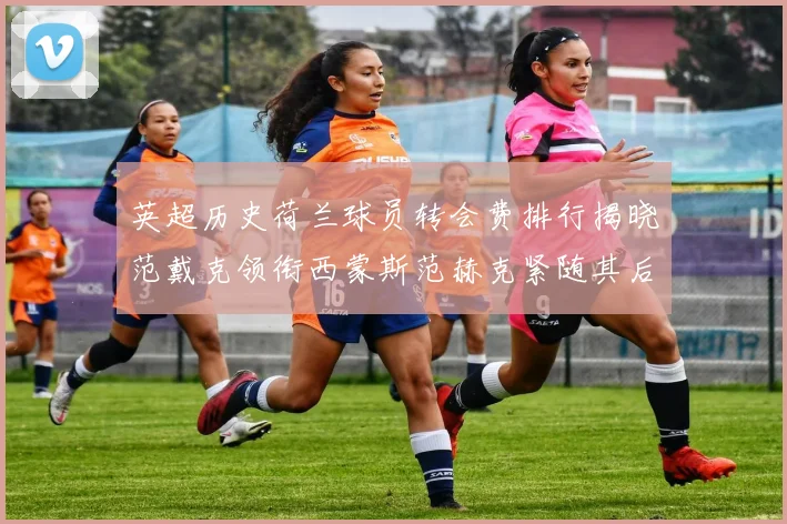 英超历史荷兰球员转会费排行揭晓范戴克领衔西蒙斯范赫克紧随其后